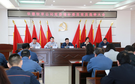 標(biāo)題：華德牧草公司召開黨員大會(huì)
瀏覽次數(shù)：1177
發(fā)表時(shí)間：2024-04-29